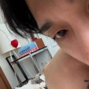 껌딱지펫 이미지