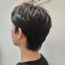 시프헤어 이미지