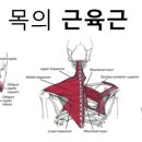 뒷골2로4 이미지