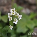 오늘의 하루 이미지