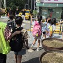 서울행당초등학교 이미지