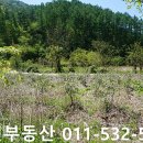 남천1-303 이미지