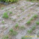 다락골농장 이미지