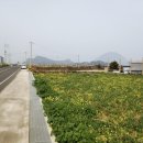 G1231 이미지