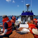 노을쭈꾸미 이미지