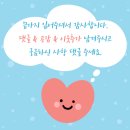 거북이 자동차정비 | 스노우체인 붙이는 자동차체인 스노우패치로 눈길 안전 운행