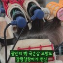 블루밍헤어샵 이미지