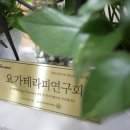 비니요가&다옴필라테스