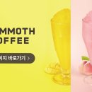 매머드커피구포