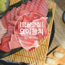 범어유치원 | [양산맛집] 숙성참치 뱃살전문점 양산 범어 맛집 &#34;요이참치 양산점&#34;