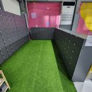 놀라운드 이미지