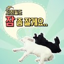 경월농장 네이버블로그