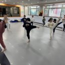 용인대라이온즈태권도장 이미지