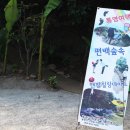법인조금느려도괜찮아치유농장 | 통영여행지 지상낙원 나폴리농원 또갈래!