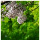 백혜자「산」 이미지