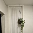 화이트카사 이미지