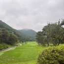 용산리2 소교량 24 | 오션힐스 청도CC 기본정보, 그린피, 코스, 양잔디, 맛집 등 비 맞고 라운딩 직접 다녀온 후기