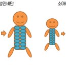 고든몸한의원 이미지