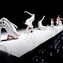 비밀의 정원 이미지