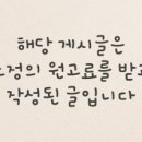 강남 요미독앤캣 강아지 분양 고양이 분양 이미지