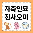 사람을 보는 지혜 - 풍수지리와 상학 | [지니코리안] 자축인묘진사오미 뜻과 유래｜외국인을 위한 12지지 완벽 정리