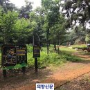옥정숲산림욕장 의양신문
