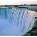 영원을위하여 이미지