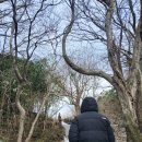 다모아헤어 앞 | [여행]돌문화공원-제주도여행, 제주동쪽여행, 폭싹속았수다,응너속았수다