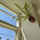 사두경로당 이미지