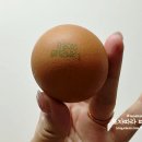 서가팜 이미지