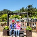 창인학교 이미지