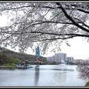 우암산순환로 이미지