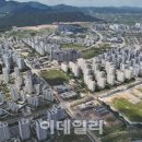 일단와봐유 이미지