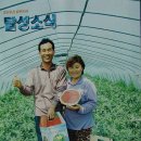 열이네