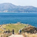 바람의 언덕 이미지