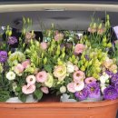 송이무료급식소 이미지