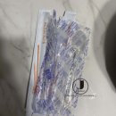 조마루감자탕(하당점) 이미지