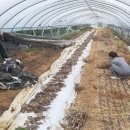 다은보호작업장 이미지