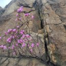 6단지후문(0940) | 장군봉과 청룡산 및 관악산둘레길 그리고 낙성대공원(안국사)까지 산행후기