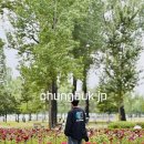 미루stay 이미지