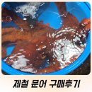 반한수산 | 주문진어민수산시장 제철 문어 구매 후기