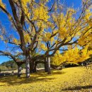 도동유교문화관2 이미지