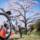 경북여인숙 이미지