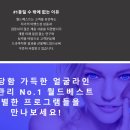 베스트실루엣 이미지