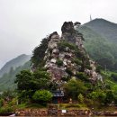 꼴두바우 이미지