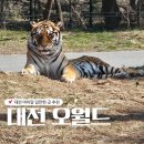 서대전동물약국 | 대전 오월드 사파리 꿀팁 버드랜드 동물원 주말 오픈런 후기