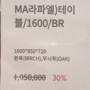 테라모나 이미지