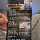 호텔쿡 | 빙하투어-보트타고 빙하 만져보기, 허미티지 마운트쿡 호텔 빙하투어 후기, 마운트쿡 트래킹 코스 총정리
