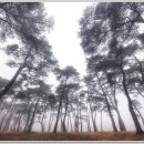 덕림축산 이미지