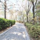 리더스골드공인중개사사무소 이미지